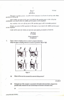 COMPUTING_PRACTICALS,_THEORY_&_OBJ_SERIALIZED_BECE_2024.pdf